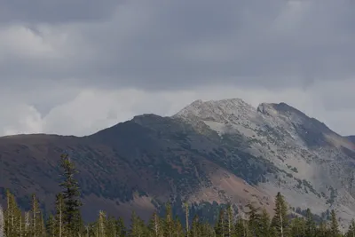 DSC_2987 (Large).JPG